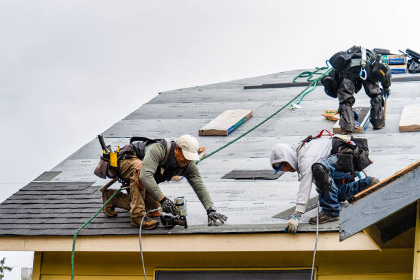 Professional Gutter Installation technician working in Molino, FL